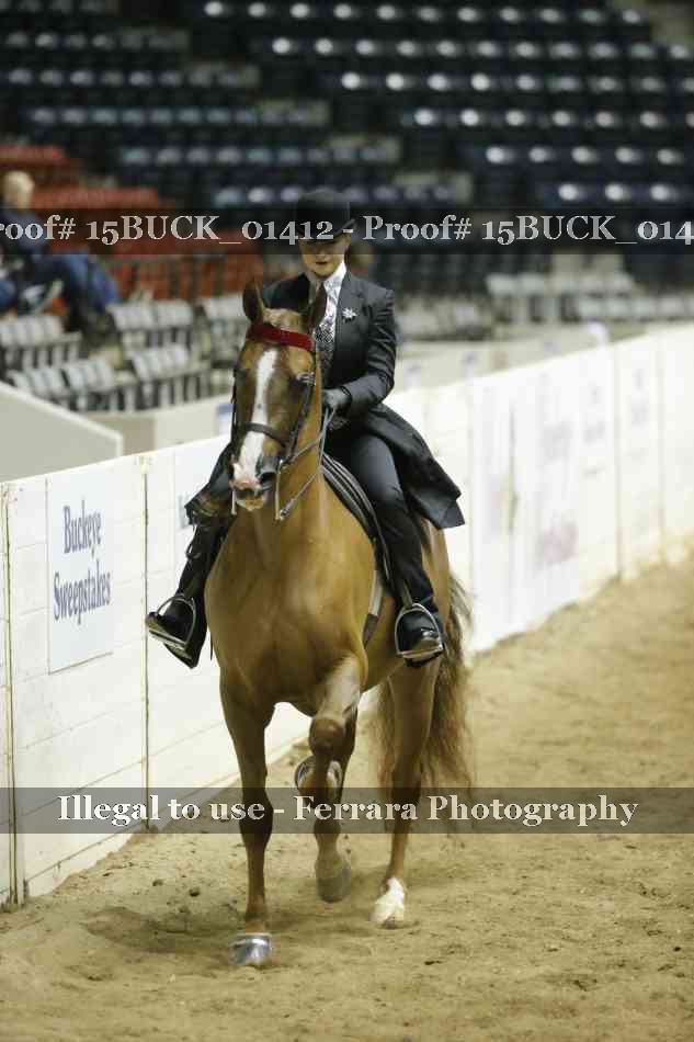 Proof 15BUCK_01412