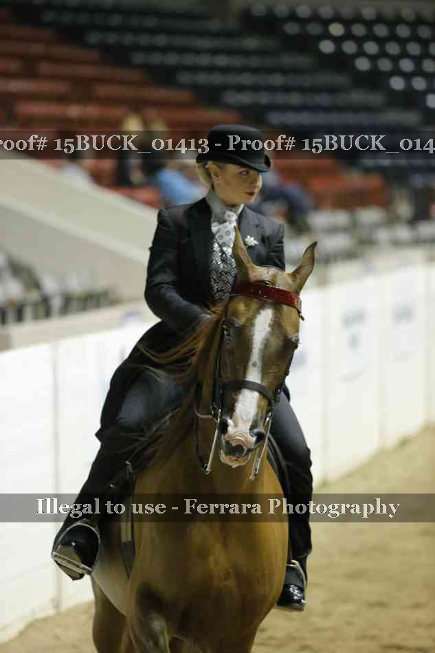 Proof 15BUCK_01413
