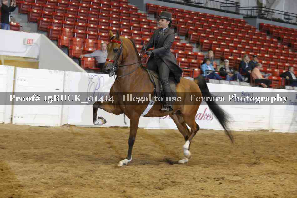 Proof 15BUCK_01414