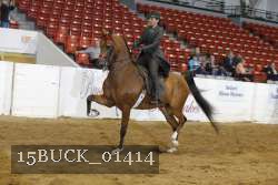 15BUCK_01414 proof