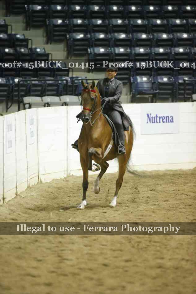 Proof 15BUCK_01415