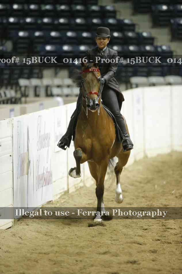 Proof 15BUCK_01416