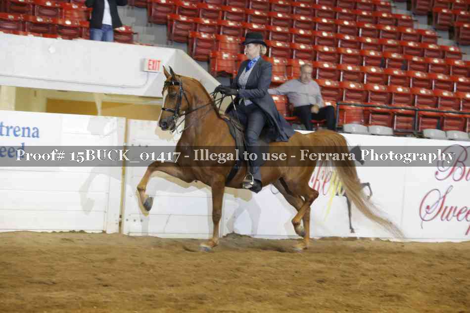 Proof 15BUCK_01417