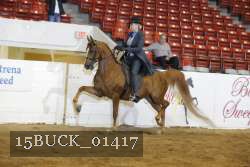 15BUCK_01417 proof