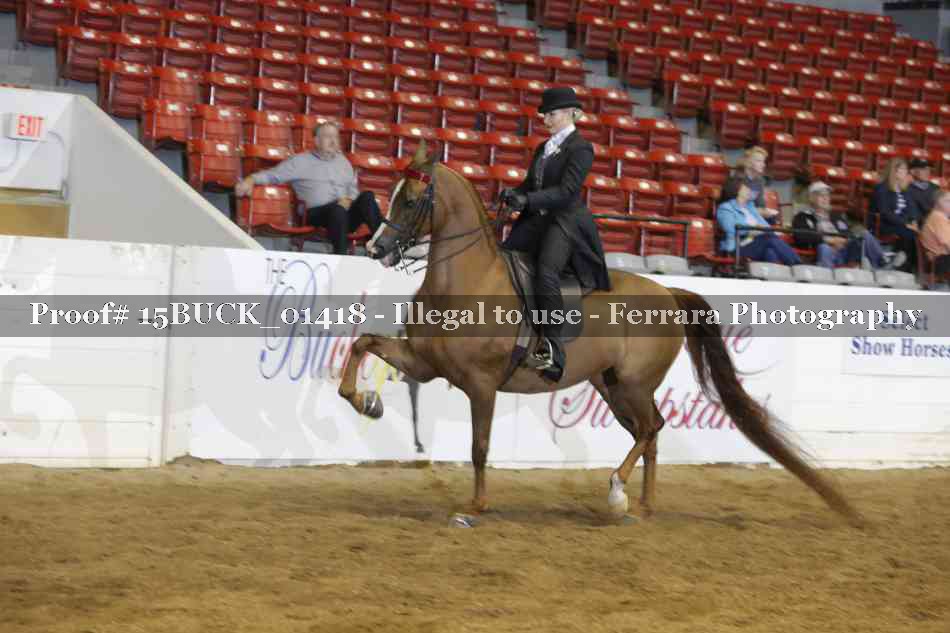Proof 15BUCK_01418