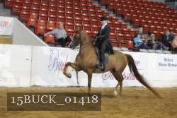 15BUCK_01418 proof