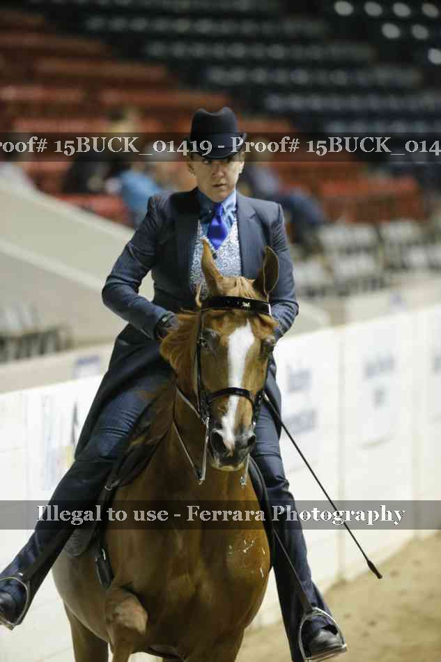 Proof 15BUCK_01419