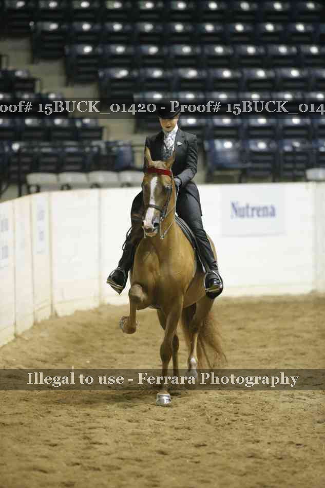 Proof 15BUCK_01420