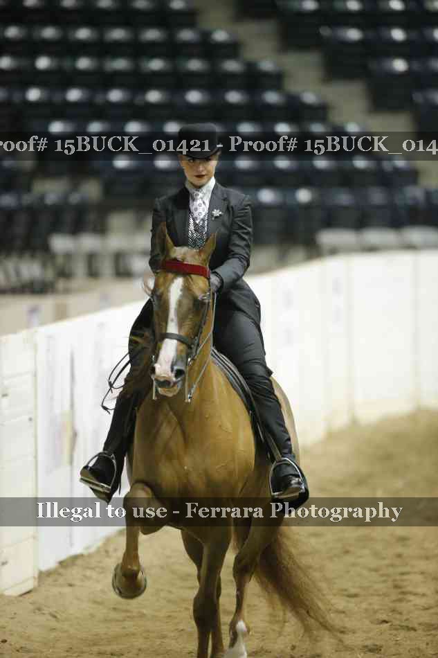 Proof 15BUCK_01421