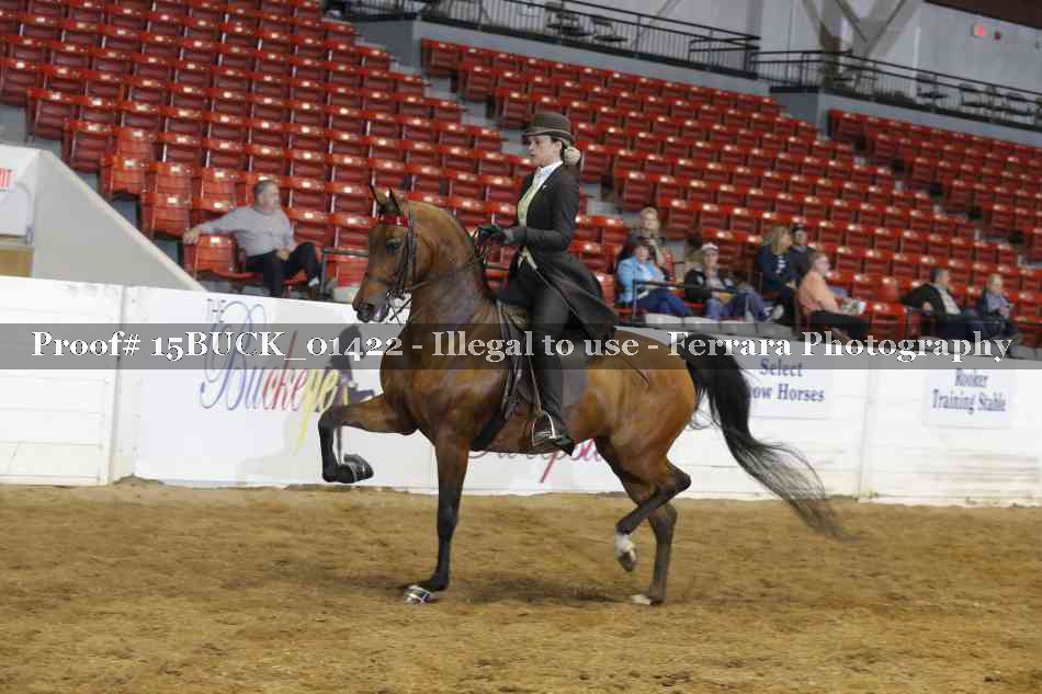 Proof 15BUCK_01422
