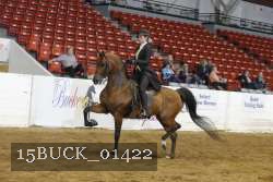 15BUCK_01422 proof