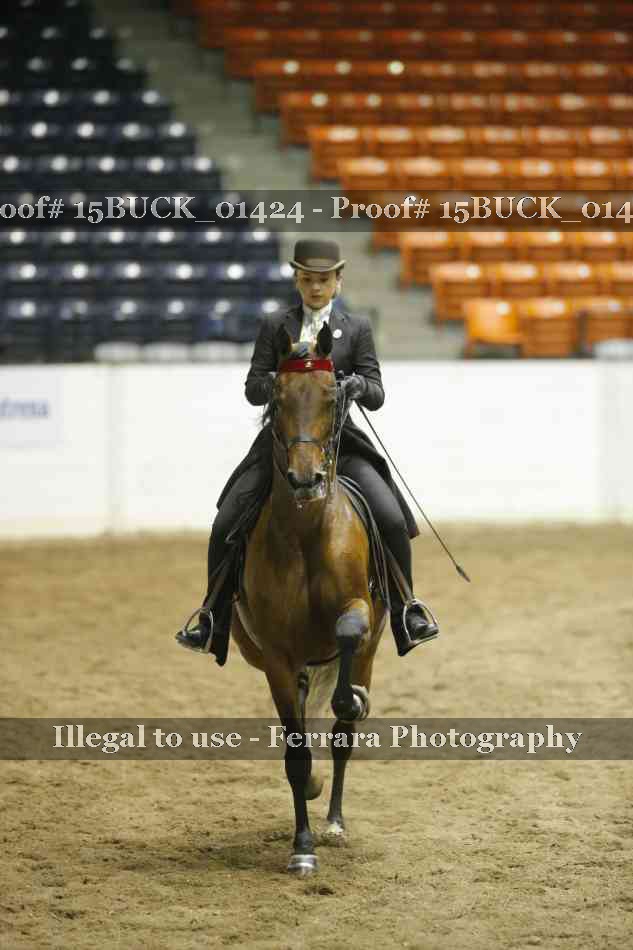 Proof 15BUCK_01424
