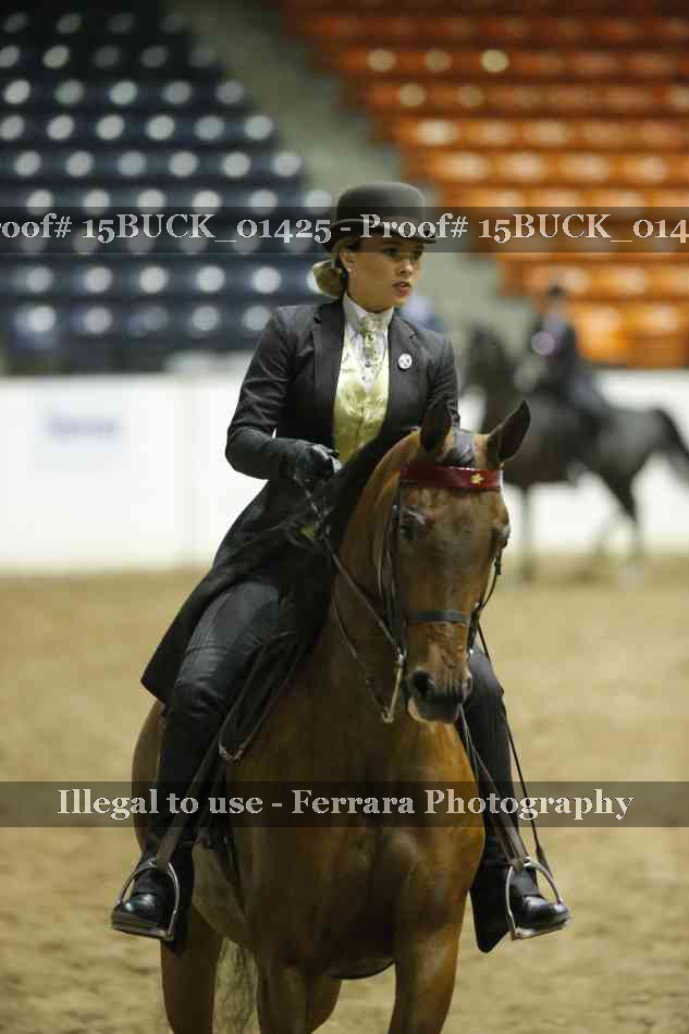 Proof 15BUCK_01425