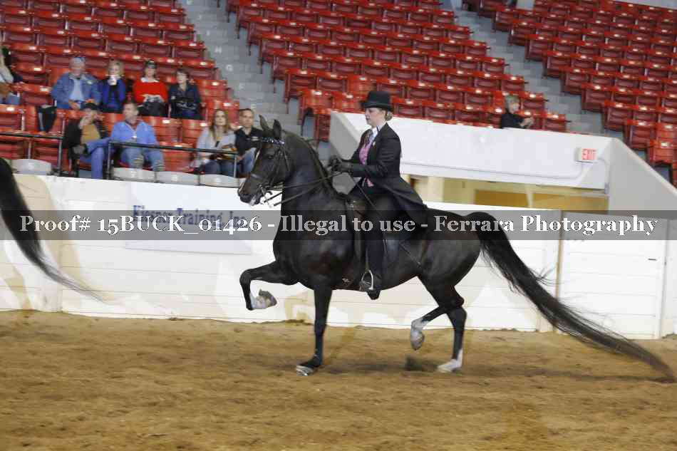 Proof 15BUCK_01426