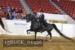 15BUCK_01426 proof