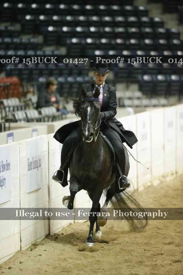 Proof 15BUCK_01427