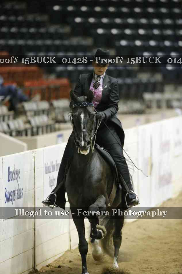 Proof 15BUCK_01428