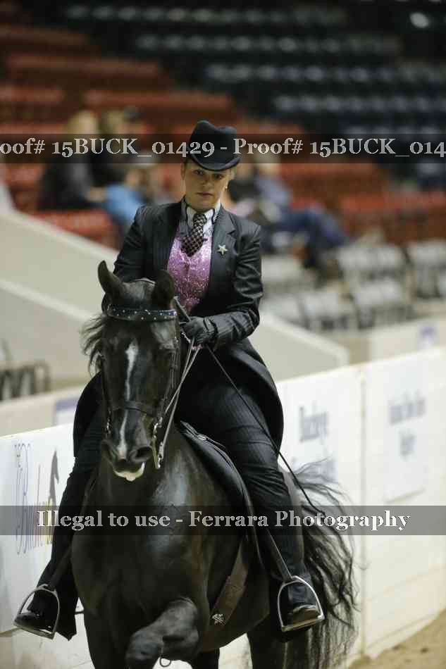 Proof 15BUCK_01429