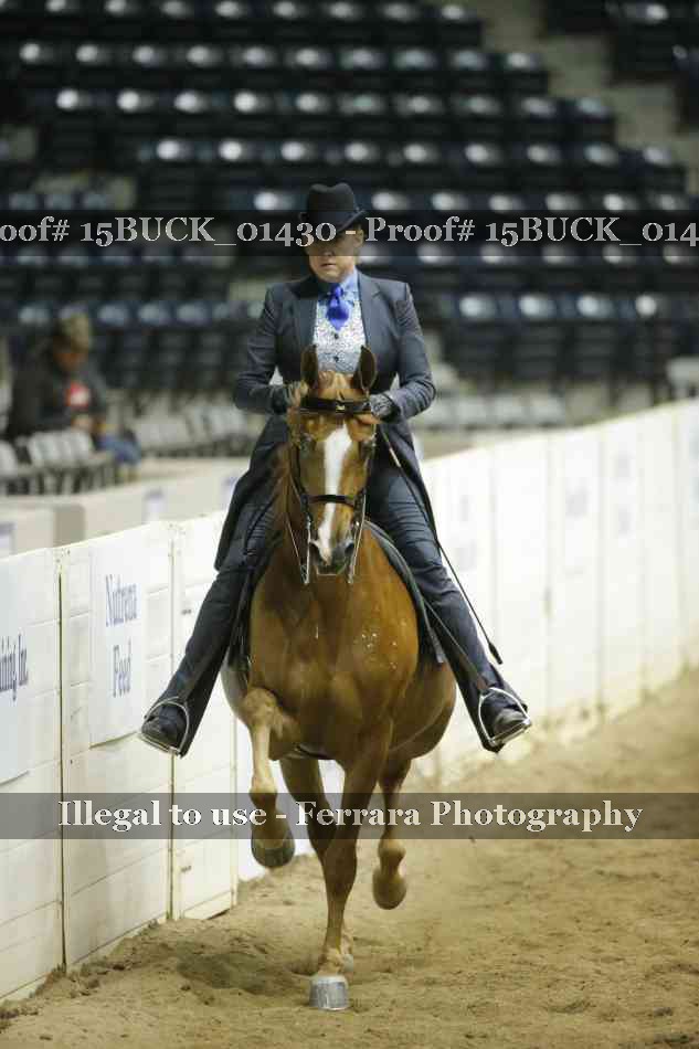 Proof 15BUCK_01430