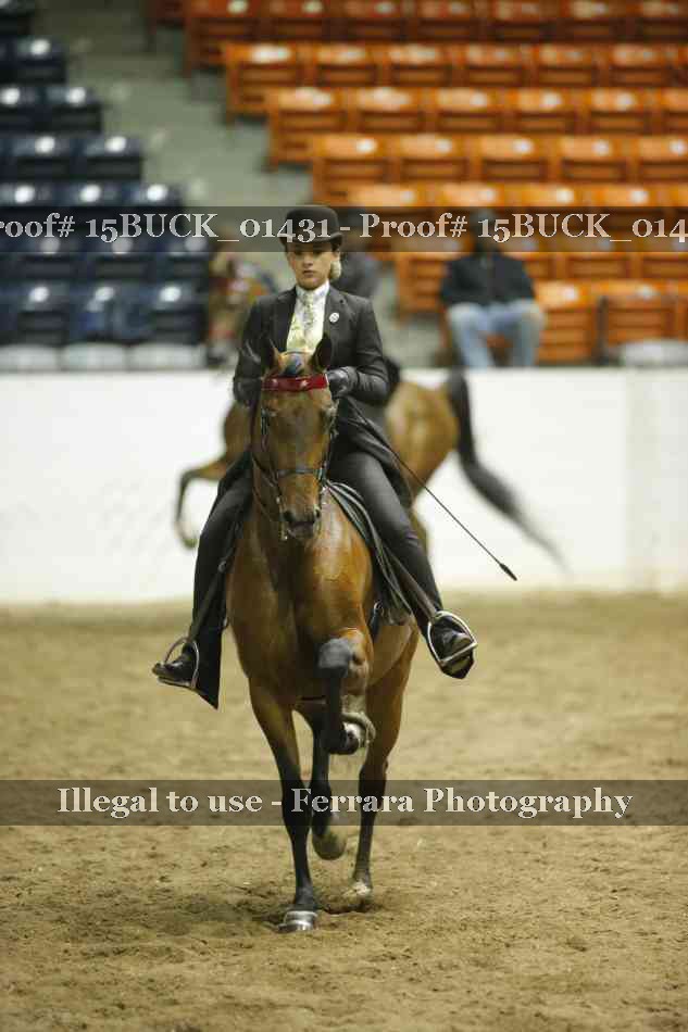 Proof 15BUCK_01431
