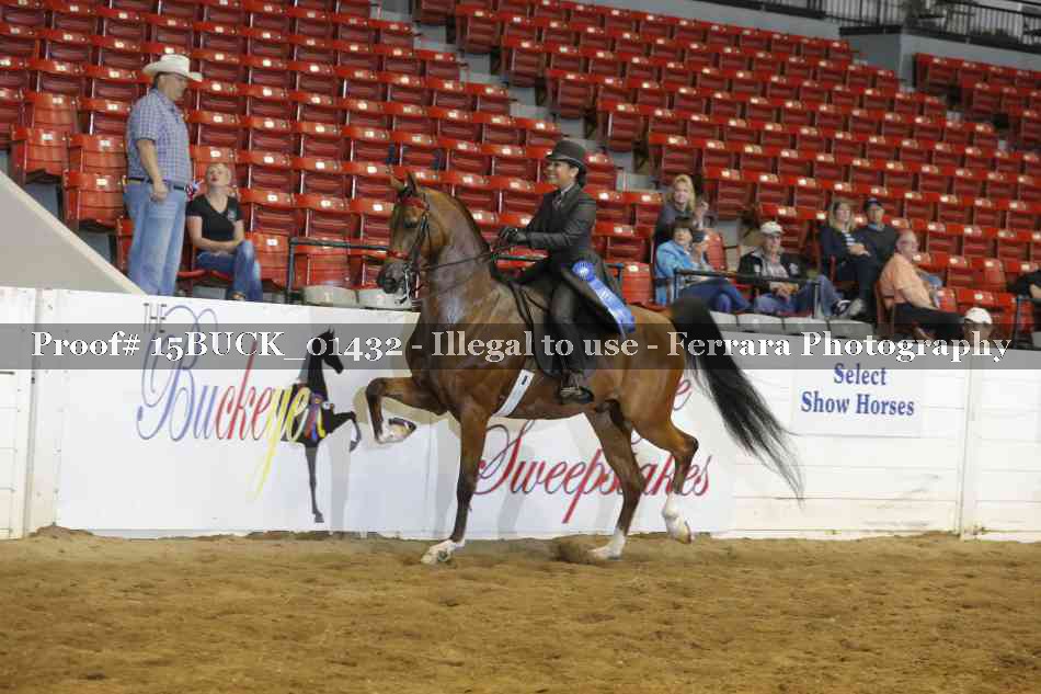 Proof 15BUCK_01432