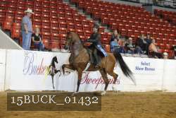 15BUCK_01432 proof