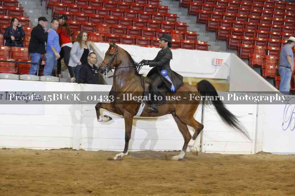 Proof 15BUCK_01433