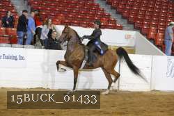 15BUCK_01433 proof