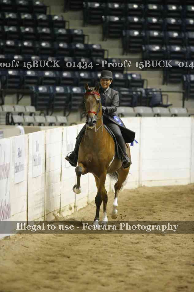 Proof 15BUCK_01434