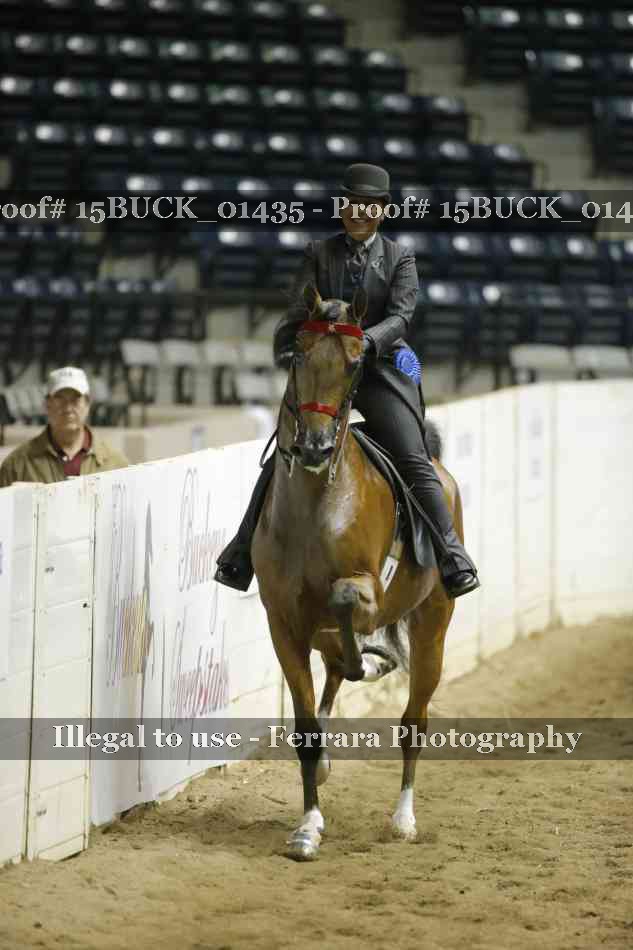 Proof 15BUCK_01435