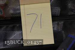 15BUCK_01437 proof