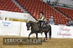 15BUCK_01438 proof