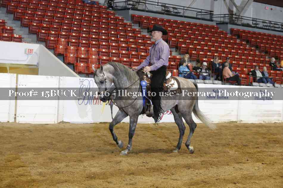 Proof 15BUCK_01446