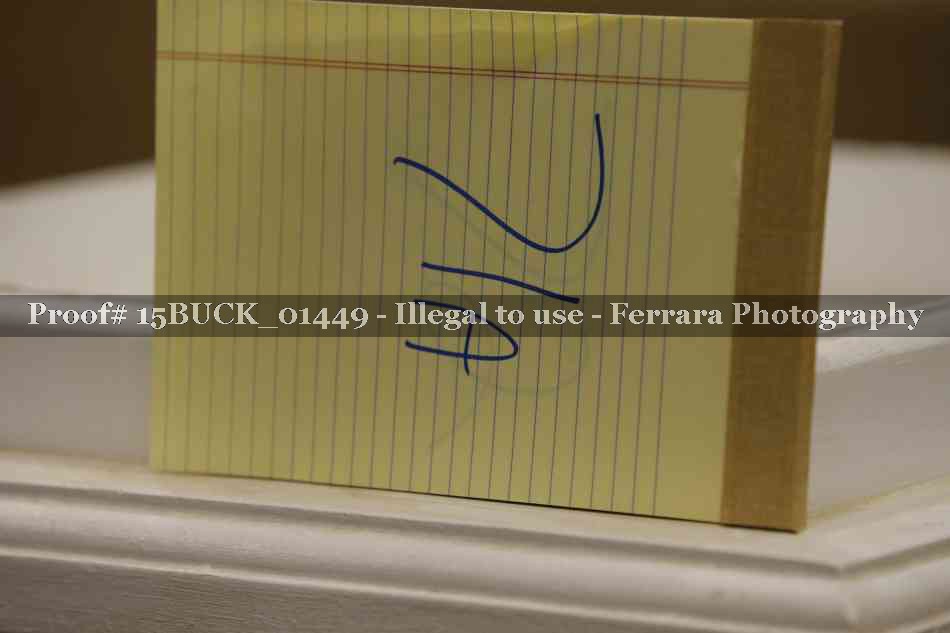 Proof 15BUCK_01449