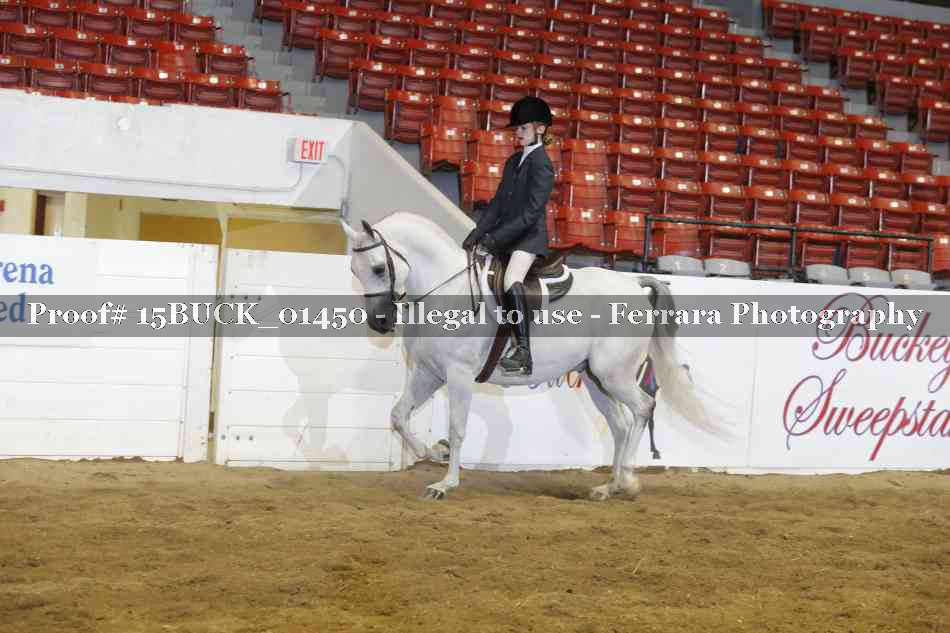 Proof 15BUCK_01450