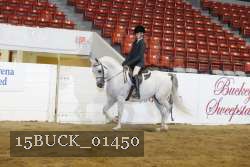 15BUCK_01450 proof