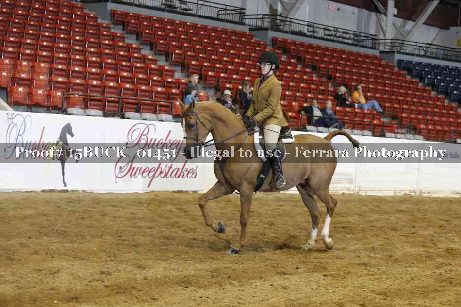 Proof 15BUCK_01451
