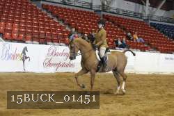 15BUCK_01451 proof