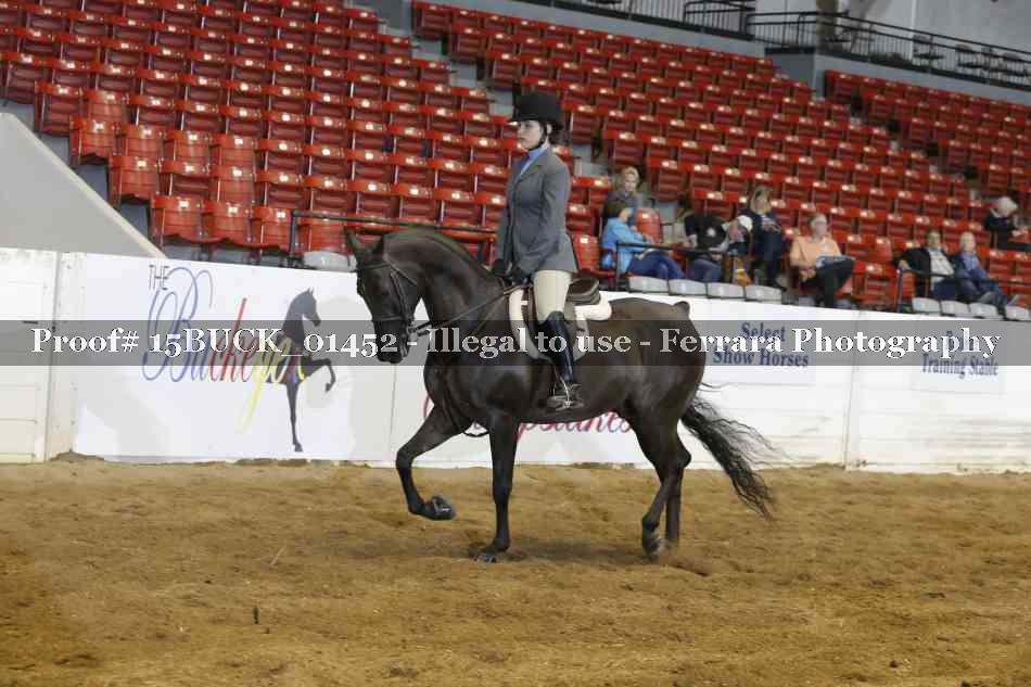 Proof 15BUCK_01452