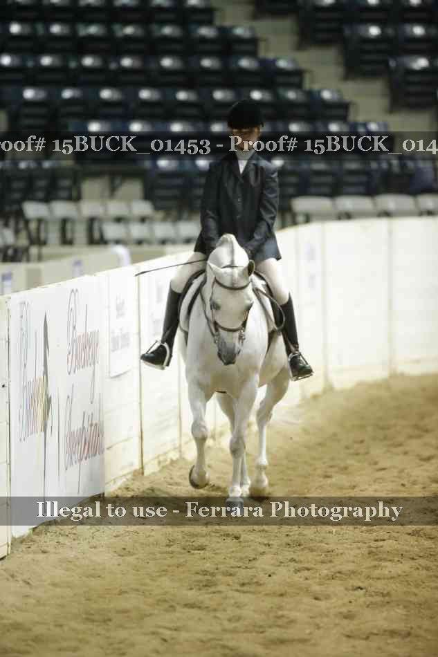 Proof 15BUCK_01453