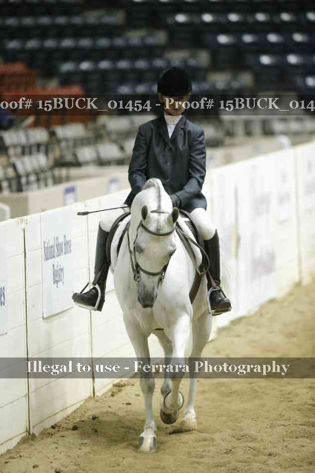 Proof 15BUCK_01454