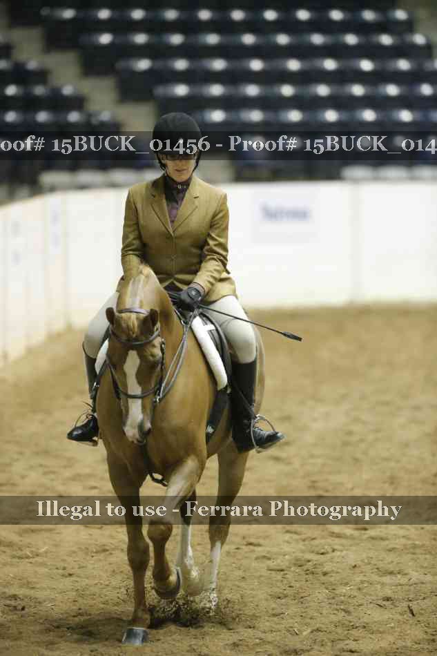 Proof 15BUCK_01456