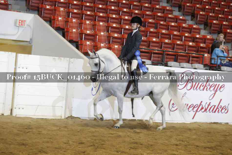 Proof 15BUCK_01460