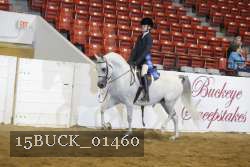 15BUCK_01460 proof