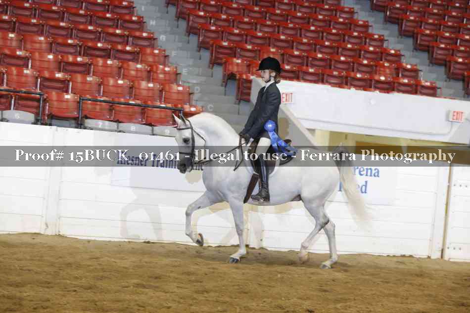Proof 15BUCK_01461