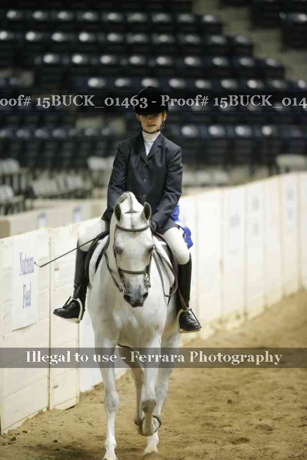 Proof 15BUCK_01463