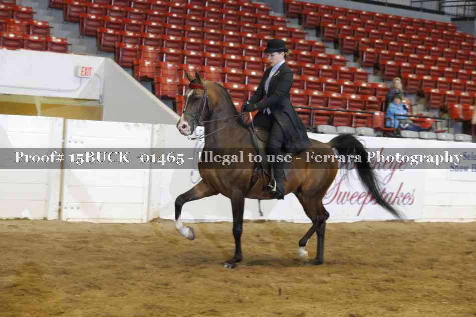Proof 15BUCK_01465