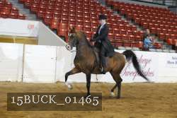 15BUCK_01465 proof