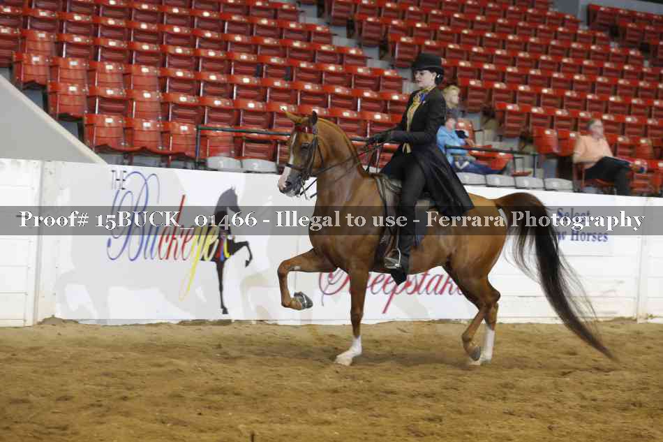 Proof 15BUCK_01466