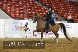 15BUCK_01466 proof